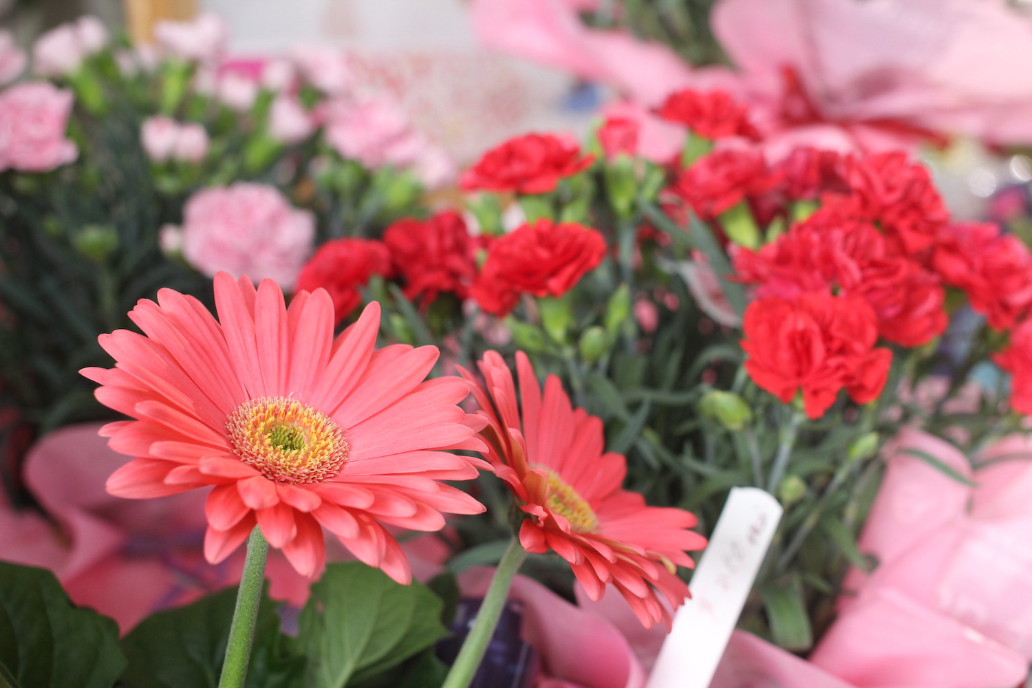 Banner2